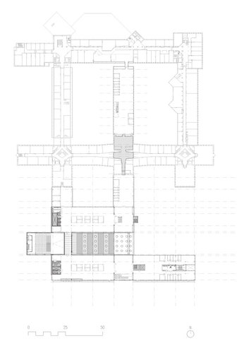 Planta__2_large