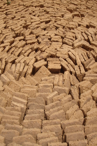 009_large