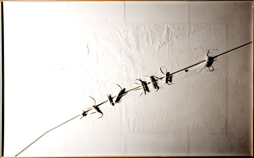 01_large