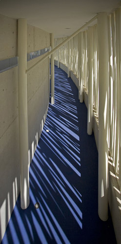 23_large