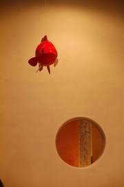 Dsc_0069_normal