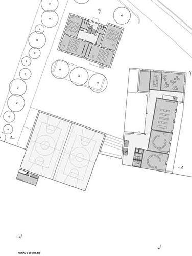 P3_large