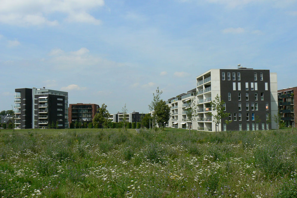 P1020743_full