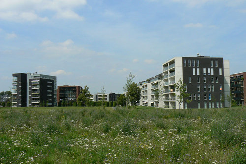 P1020743_large