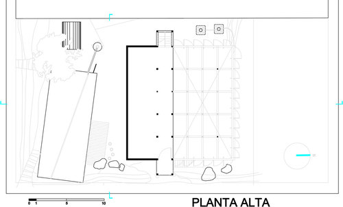 Planta-alta_large