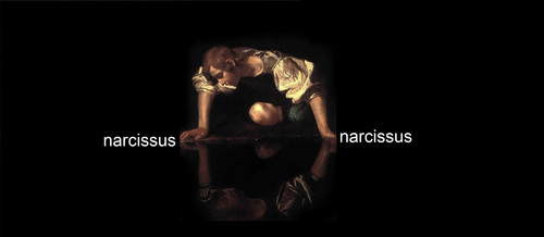 Narcissus_large