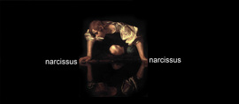 Narcissus_normal