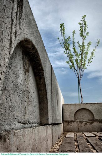 Img_0232-copia-2_large