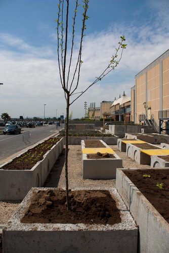 11_large