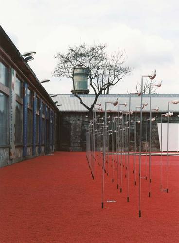 Caviola_50_large