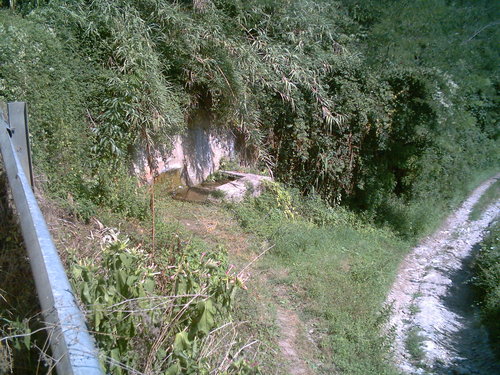 Dsck0001_large