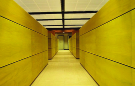 Cover_plasmon_11_normal