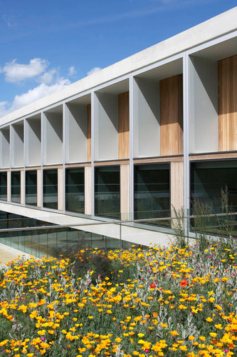 Sw-sainsbury-laboratory-21_large