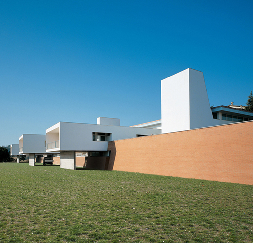 11_erba-torrita_large
