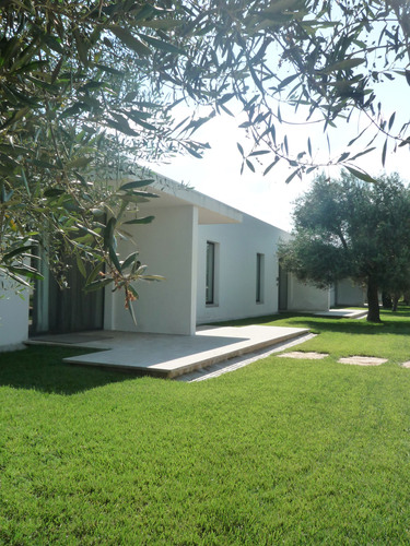 P1020563_large
