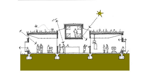Section_large