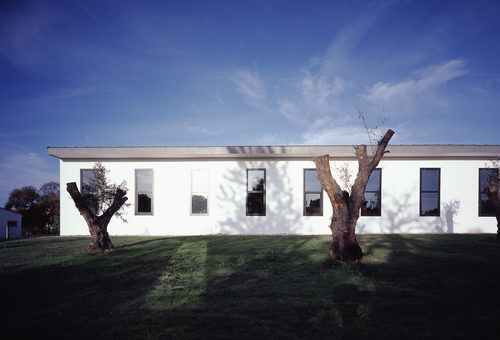 Beas_01_large
