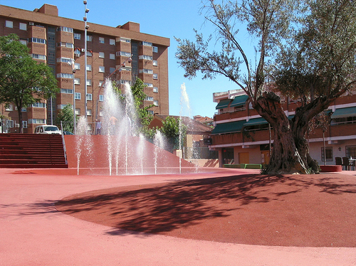 Paseo5_large