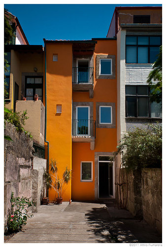 Ren-ito---sabiamente-_18-di-19__large
