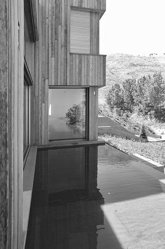Tilal_euro-29_large
