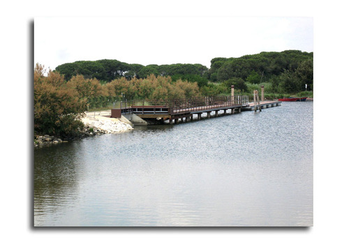 Pardepo_11_large