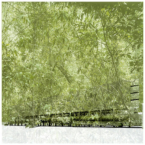 Ww14c_large