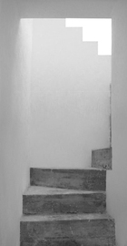 0801_sntrnzscl_003_normal
