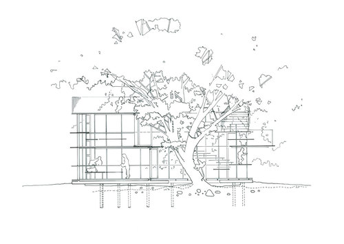 Tez-sketch_large