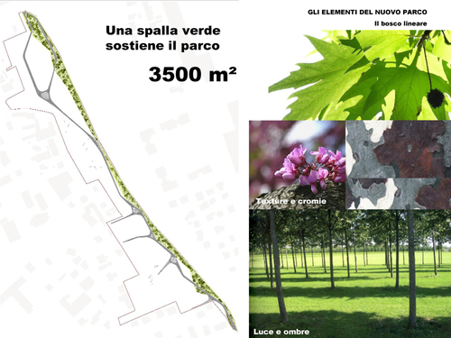 Bassano-16_large