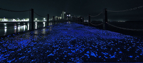 12_passeggiata_luminescente_04_large