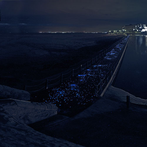 12_passeggiata_luminescente_03_large
