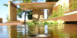 Dsc05426_normal
