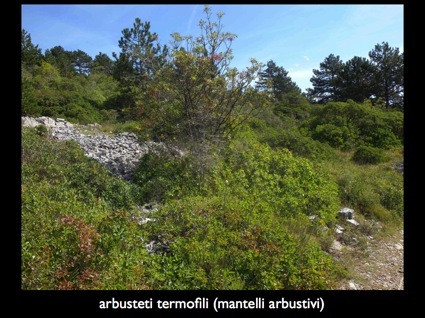 Parco_comunale-2
