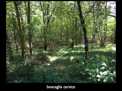 Parco_comunale-2