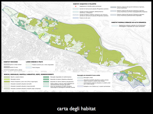 Parco_comunale-2