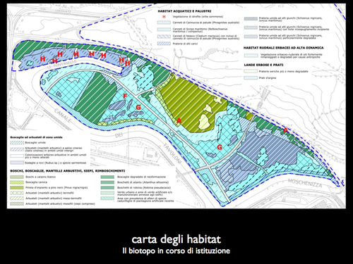 Parco_comunale-2