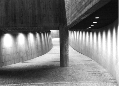 Sp6_large
