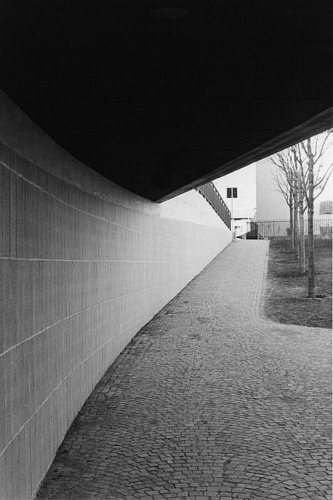Sp15_large