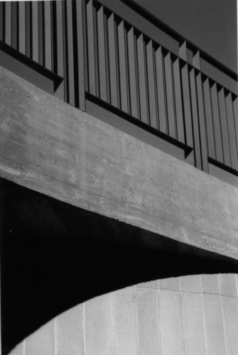 Sp8_large