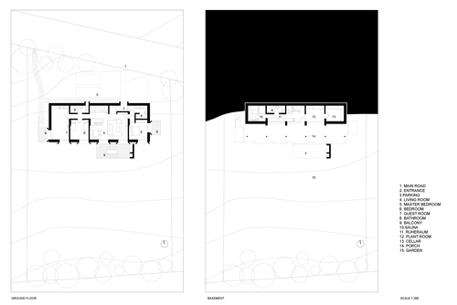 1_piante_large