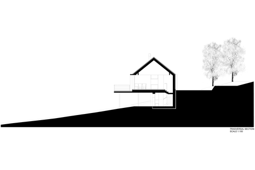 6_sezione_large