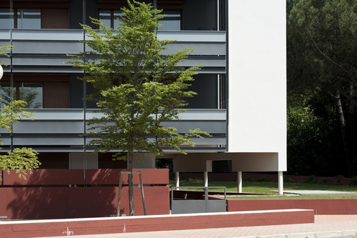 Feletto053_large