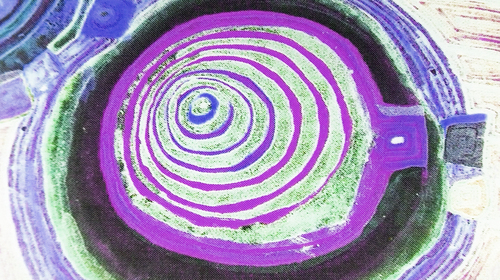 Gar_large