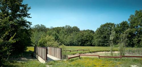 Stagno_large