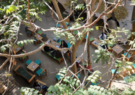 111105-zoom-from-high-01_normal