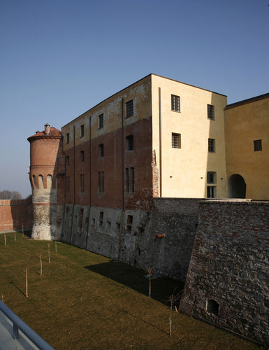 8-copy_large