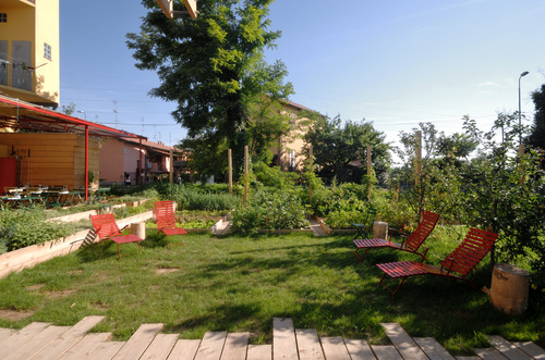 10_erbabrusca_large