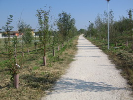 Img_6116_normal