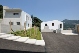 _dsc0981_normal