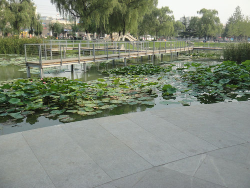 06_dsc01412_large